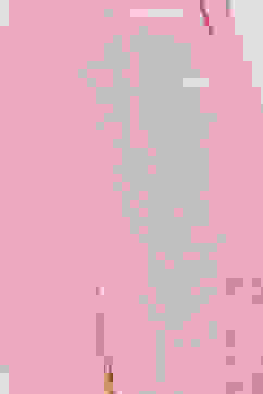 Coral Cotton Narrow Pant image number 1