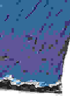 White and Blue Cotton Flared Kurta Slim Pant Suit Set image number 2