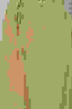 Moss Green Cotton Straight Kurta Palazzo Suit Set image number 3