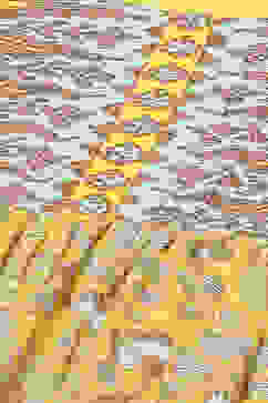 Mustard Cotton Flared Fusion Printed Dress image number 1