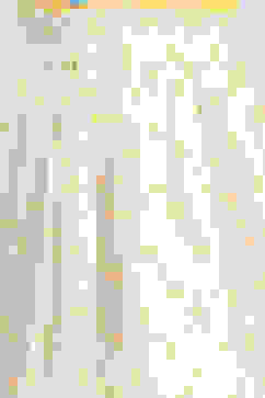 White Cotton Schiffli Skirt image number 1