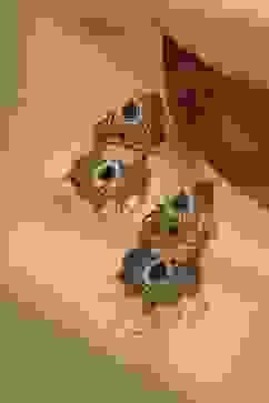 Navy Brass Drop & Danglers image number 0