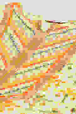 Pale Yellow Rayon Asymmetric Kurta Regular Pant Suit Set image number 1