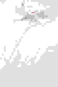 White Cotton Embroidered Shirt image number 1