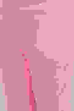 Onion Pink Cotton Anarkali Kurta Churidar Suit Set image number 5