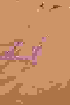 Peach Solid Cotton Kalidar Kurta Palazzo Suit Set image number 1