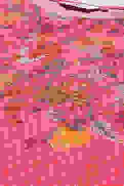 Pink Rayon Asymmetric Kurta Palazzo Suit Set image number 1