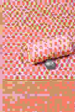 Coral Cotton Printed Unstitched Suit Set image number 2