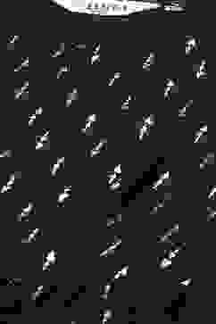 Black Rayon Fusion Dress image number 1