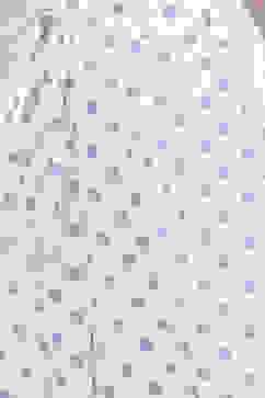 Powder Blue Cotton Printed Dhoti Pants Set image number 2