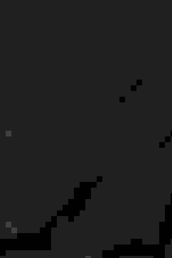 Rohit Bal Black Cotton Silk Straight Printed Suit Set image number 3