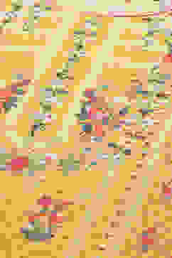 Yellow Cotton Straight 2 Piece Set image number 1