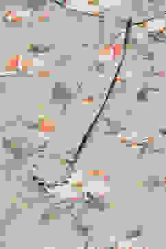 Green Crepe Unstitched Suit Set image number 1