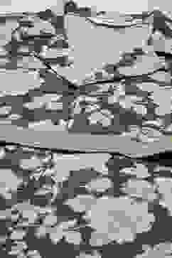 Forest Green Cotton Straight Printed Dress image number 4