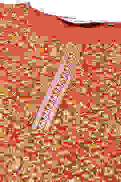 Red Cotton Straight Kurta Slim Pant Suit Set image number 1