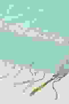 Blue Art Silk Yarndyed Dupatta image number 1