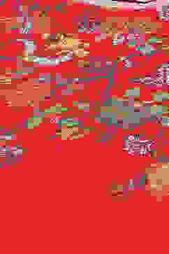 Red Printed LIVA Asymmetric Kurta Palazzo Suit Set image number 1