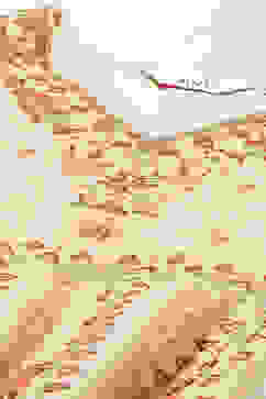 Beige Flared Fusion Printed Dress image number 1