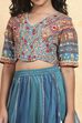 Blue Cotton Printed Kalidar Lehenga Set image number 1