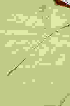 Green Cotton Blend A-Line Kurta Salwar Suit Set image number 1