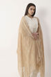 Beige Printed Tasseled Dupatta image number 1