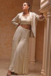 Ivory Poly Georgette Embroidered Fusion Set image number 6