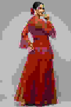 Red Nylon Straight Kurta Sharara Suit Set image number 4