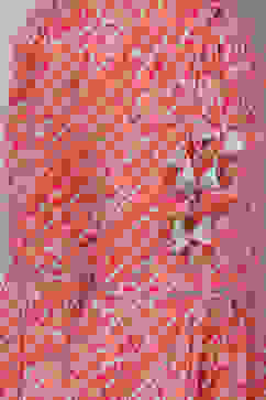 Aqua and Coral Cotton Sharara Set image number 3