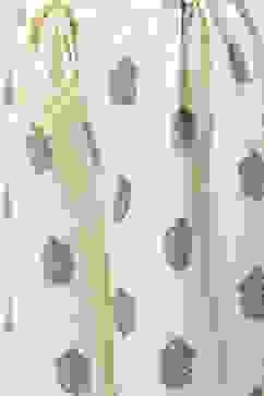 Black Relaxed Palazzo image number 1