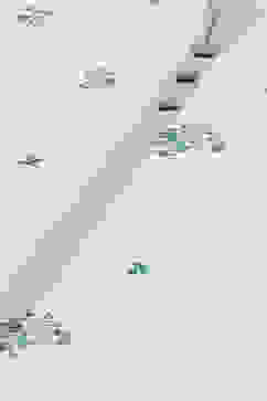 White Mint Cotton Straight Fusion Printed Kurta Set image number 1