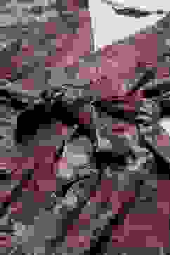 Pink Flared Printed Dress image number 1