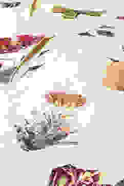 Rohit Bal Off White Cotton Blend Straight Kurta Suit Set image number 1