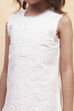 Red and White Cotton Schiffli Straight Suit Set image number 1