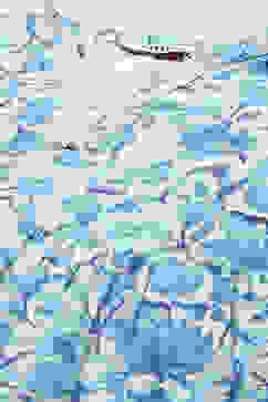 White and Blue Cotton Floral Tiered Dress image number 1