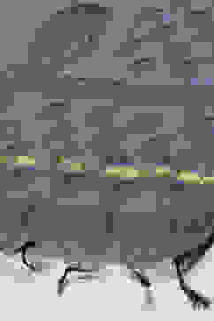 Navy Blue Chanderi Unstitched Suit set image number 4