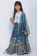 Blue Poly Cotton Lehenga Set image number 3