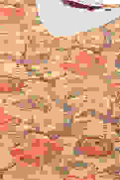 Mustard Cotton Blend Printed Kurti image number 1