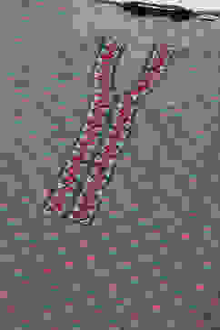 Sap Green Cotton Straight Kurta Palazzo Suit Set image number 1