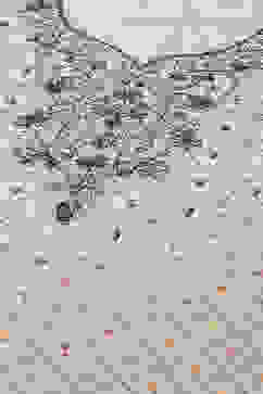 Cream Cotton Silk Straight Yarndyed Kurta Sharara Suit Set image number 1