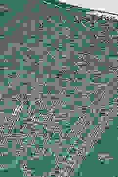 Teal Rayon Straight Printed Kurta image number 1