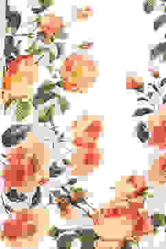 Rohit Bal Off White Cotton Blend Saree image number 1