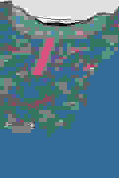 Blue Cotton Straight Kurta Palazzo Suit Set image number 1