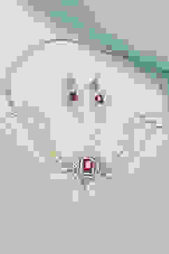 Red Alloy Necklace Set image number 0