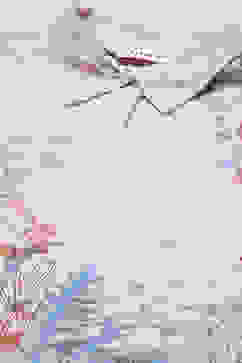 Ecru Rayon Printed Shirt image number 5