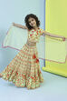 Lime Green Cotton Printed Lehenga Set image number 0