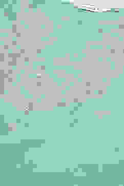 Sea Green Cotton Blend Straight Yarndyed Kurta image number 1