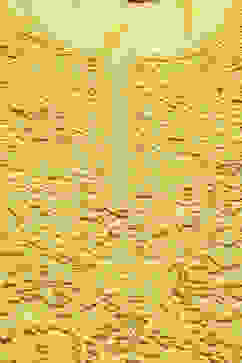 Mustard Viscose Straight Kurta Palazzo Suit Set image number 1