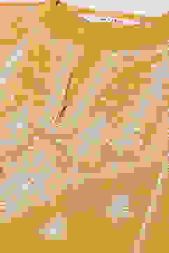 Mustard LIVA Straight Solid 2 Piece Set image number 1