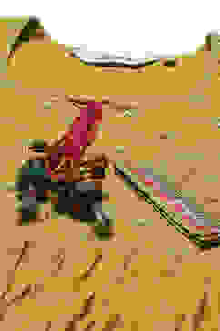 Lime Green Cotton Anarkali Kurta Palazzo Suit Set image number 1